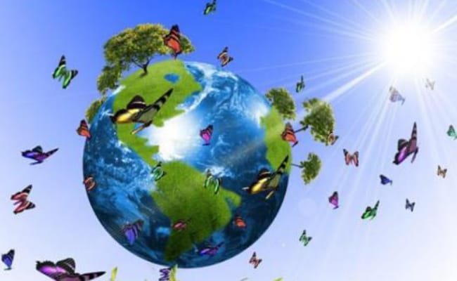 ​世界环境日的发展过程 世界环境日在哪一年设立的？