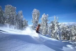 有一封重要通知丨抓住冬季的尾巴去雪地里撒撒野 