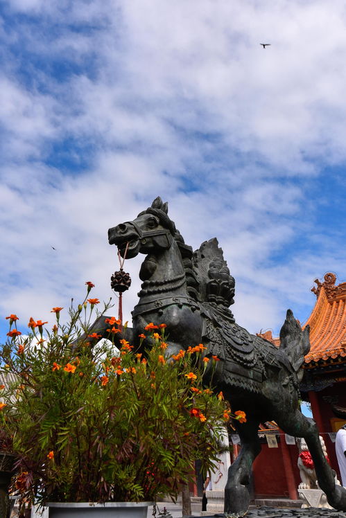 探寻中华文化的历史之旅