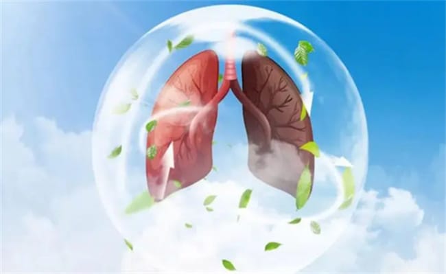 ​养肺的重要性 养肺的方法有哪些