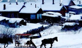 雪白世界 之雪乡旅游景点