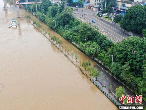 广西柳州洪水漫上道路 市民钓鱼捞鱼取乐