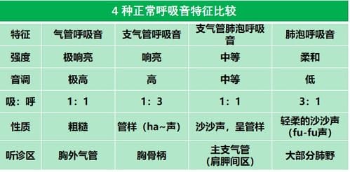 湿啰音 喘鸣音 痰鸣音分不清,看完这篇你全会了 附音频