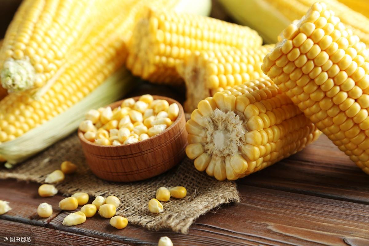 玉米原产于哪个国家（玉米什么时候传入中国的）