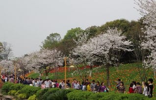 湖南长沙省植物园