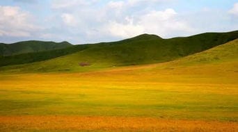 红原大草原是个被秋天遗忘的世外美景