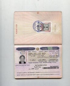 沙特阿拉伯旅游签证图片是什么样的 