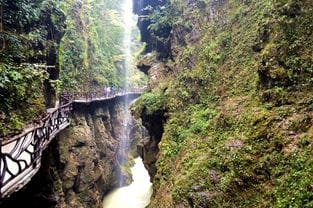 贵州铜仁旅游景点森林生态旅游的自然性(铜仁森林公园)