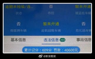 合肥违法王诞生 男子违章203起扣609分,罚款达40600元 