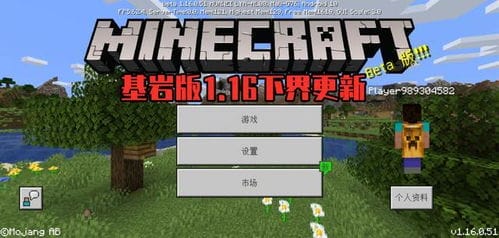 我的世界基岩版1.16模组下载 我的世界基岩版1.16mod启动器下载 v1.16.0.63 安卓版 