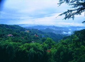 莫干山民宿联系方式及价格黄山一日游详细路线(莫干山民宿介绍)