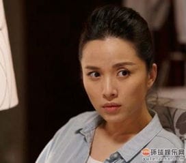靳东老婆是李佳 演员李佳个人档案婚史曝光 