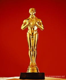 2017奥斯卡金像奖提名预测 你更看好哪一步影片 