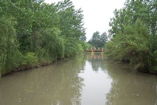 泰州行 访溱湖古镇和湿地公园