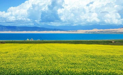 西宁到青海湖有多远距离(西宁到青海湖景区多少公里怎么走)