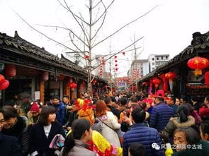 阆中市旅游执法大队 2017年春节黄金周旅游投诉情况 