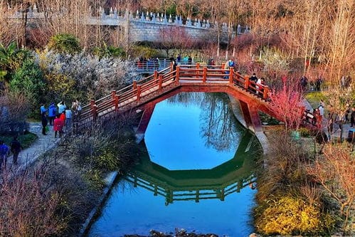2021年春节全国旅游大数据发布 河南省洛阳 隋唐城遗址植物园 河南博物院等榜上有名