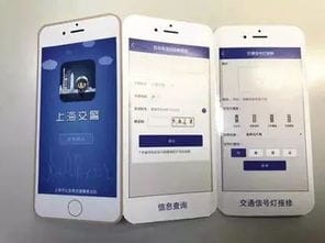 上海交警app怎么不能查违章了(上海交警app为什么交不了罚款)