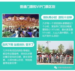 上海迪士尼乐园VIP免排队服务