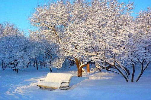 适合冬季旅游的国内地方冬天旅游必去十大景点(冬天国内旅游好去处)