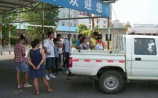 葫芦岛连山驾校(葫芦岛连山司机招聘)