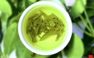 绿茶是啥意思网络语(绿茶什么意思网络语)