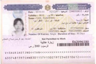 沙特阿拉伯王国签证(沙特阿拉伯签证官网)