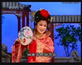 安庆人最喜欢的黄梅戏夫妻档 蒋建国和吴亚玲 