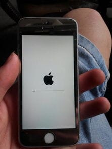 苹果5s手机升级系统重启不开机了,该怎么办 