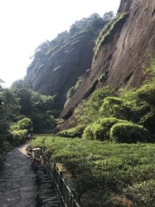 武夷山二日游三日游自由行攻略及花费 