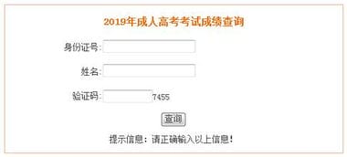 2019年安徽省成人高考成绩查询入口 