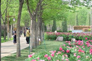 洛阳隋唐城遗址植物园