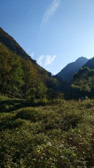 翠峰山森林公园的早晨