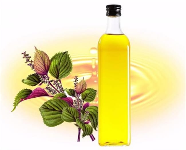 紫苏籽油有哪些功效及营养价值