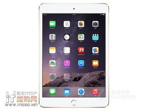 时尚小巧 苹果iPad mini4秦皇岛2740 