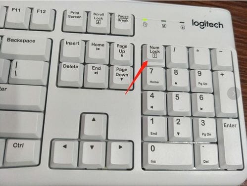 键盘锁住了Fn键和什么键可以解除锁定 