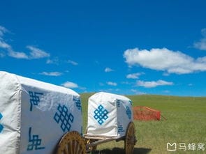 最美内蒙古 梦里的呼伦贝尔大草原 游记 攻略 美食,内蒙古呼伦贝尔大草原 