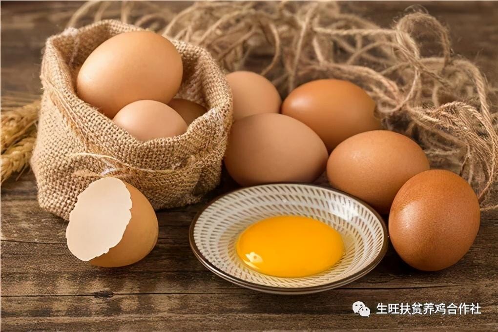 鸡蛋冷藏能放多久（如何判断鸡蛋有没有坏）