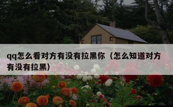 怎么知道对方有没有拉黑(qq怎么看对方有没有拉黑你)