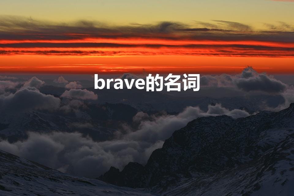 brave的名词（brave是什么中文意思）