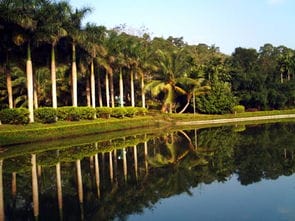 海南兴隆热带植物园官网天津热带植物园参观感受(兴隆热带植物园讲解)