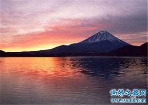 2019日本旅游必去景点排行榜,一起去富士山下看樱花吧 