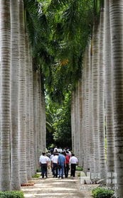 海南兴隆热带植物园接待游客超1500万人次 
