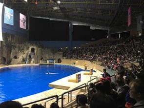 北京海洋馆 北京海洋馆 北京动物园 特价成人票 北京海洋馆10月的三季度去了海洋馆,我去 驴妈妈点评 