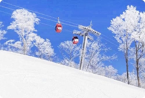 哈尔滨旅游有什么好玩的项目,特色美食推荐,雪乡自由行攻略