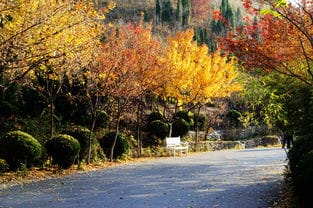 回味多彩的秋季 济南南部山区 红叶谷随拍