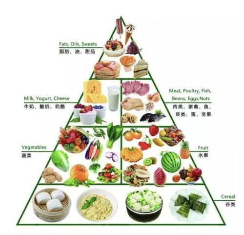 饮食健康：口味与营养并重
