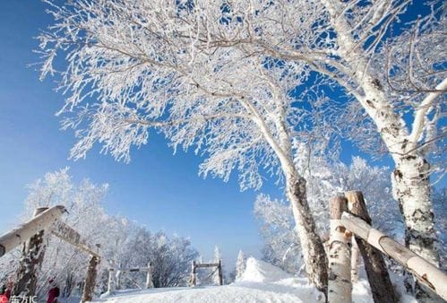 冬天去哈尔滨雪乡怎么玩 旅游及费用要多少