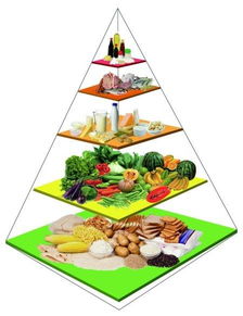 饮食养生：健康生活的基石