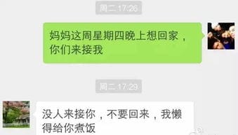 母亲与儿子微信聊天记录曝光,无语了... 